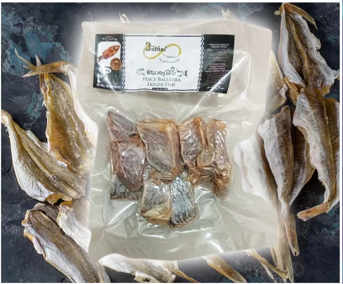 Trigger Fish